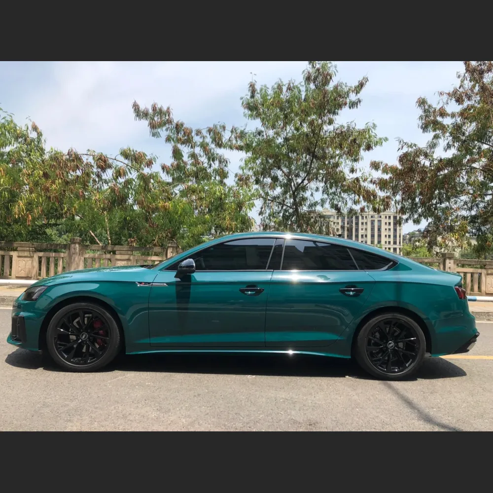 Ravoony Basic Audi Gloss Goodwood Green Vinyl Car Wrap