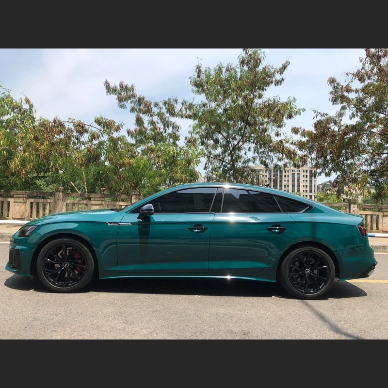 Ravoony Basic Audi Gloss Goodwood Green Vinyl Car Wrap