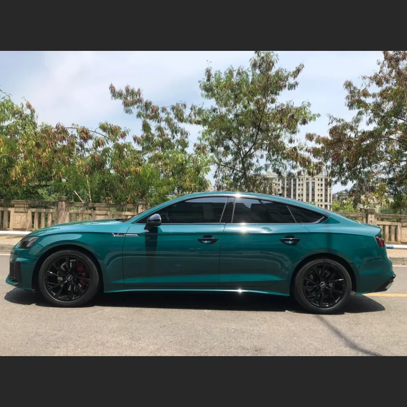 Ravoony Basic Audi Gloss Goodwood Green Vinyl Car Wrap