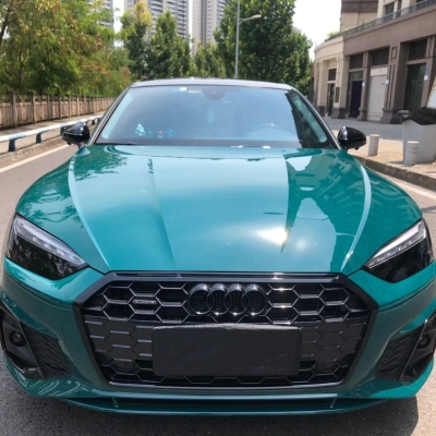Ravoony Basic Audi Gloss Goodwood Green Vinyl Car Wrap 02