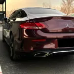 Ravoony Basic Gloss Black Rose Vinyl Wrap