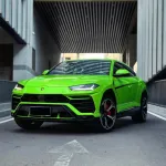 Ravoony Basic Lime Green Vinyl Wrap