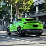 Ravoony Basic Lime Green Vinyl Wrap