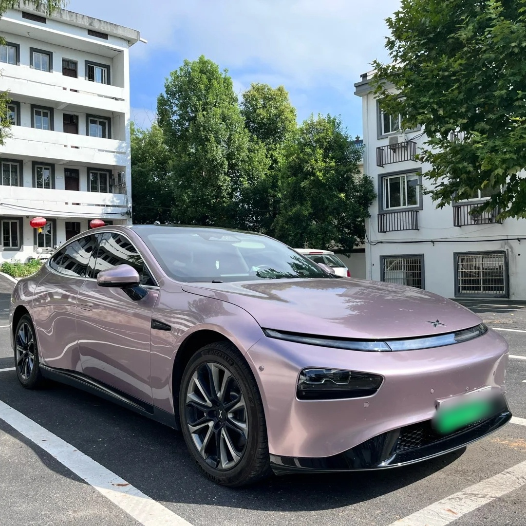 Ravoony Basic Glossy Frozen Berry Wrap