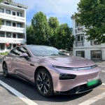 Ravoony Basic Glossy Frozen Berry Wrap