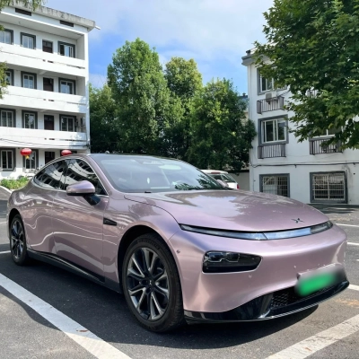 Ravoony Basic Glossy Frozen Berry Wrap 02