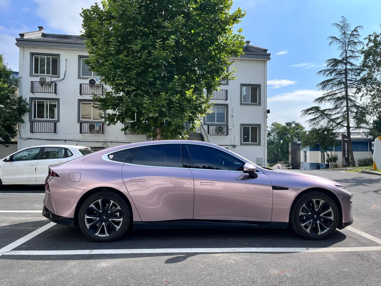 Ravoony Basic Glossy Frozen Berry Wrap