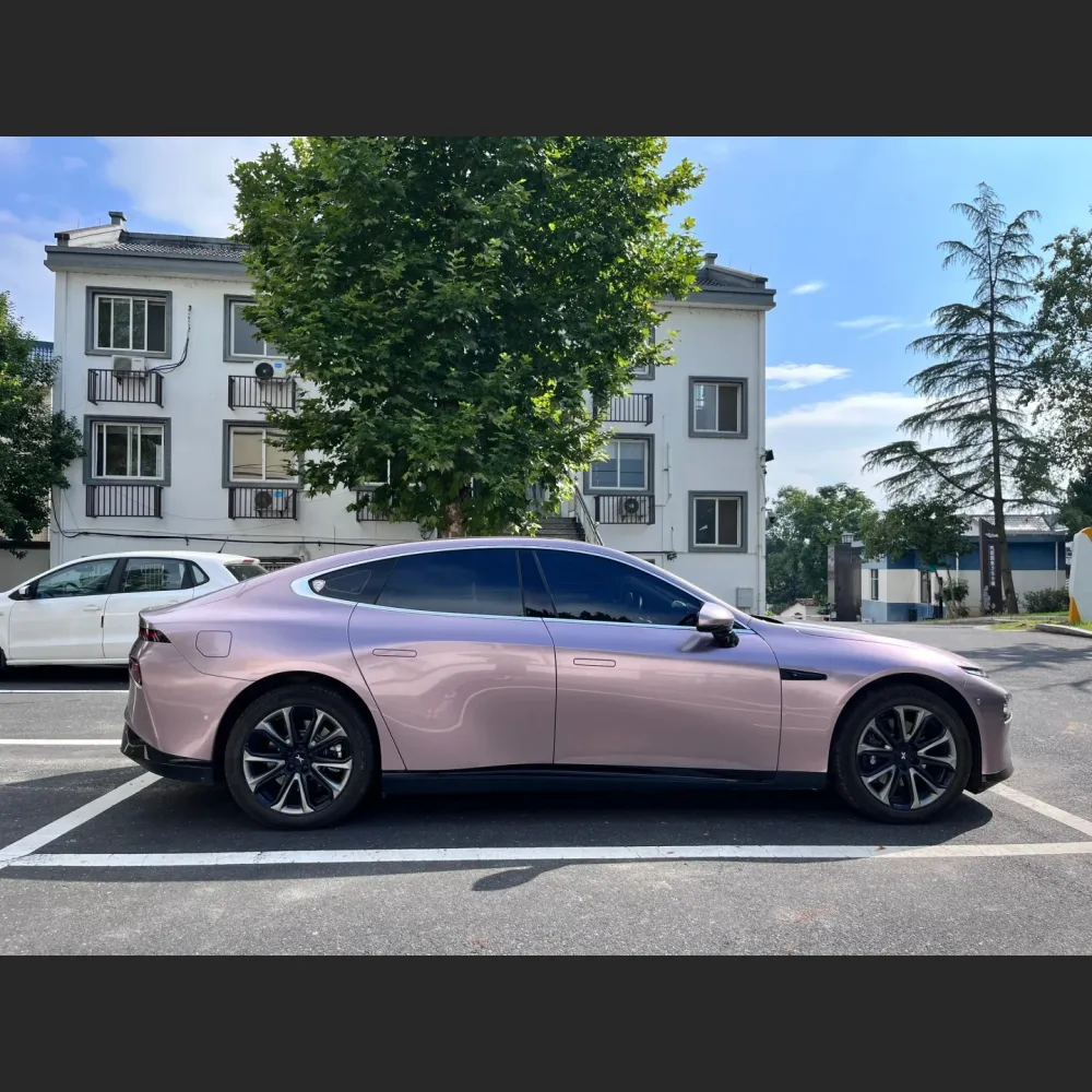 Ravoony Basic Glossy Frozen Berry Wrap