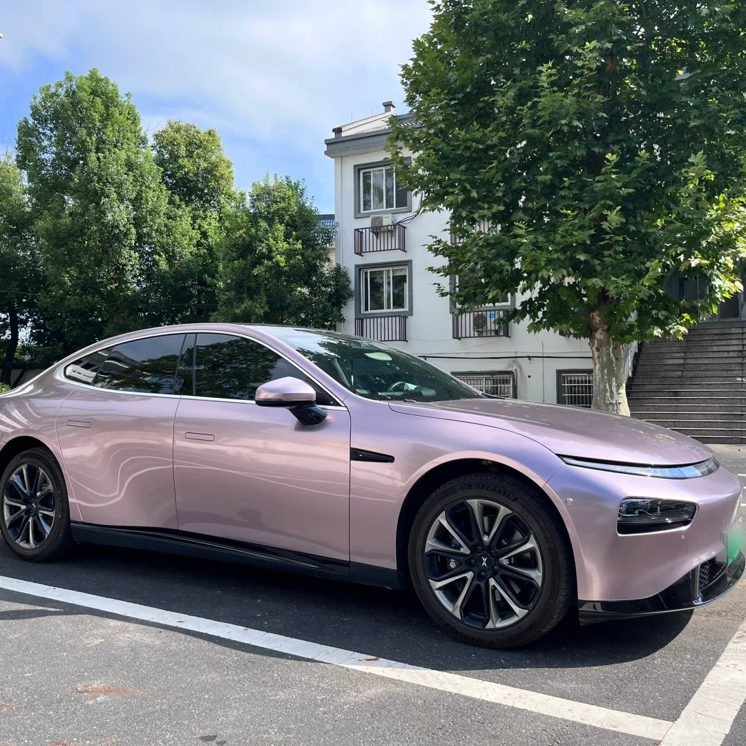 Ravoony Basic Glossy Frozen Berry Wrap