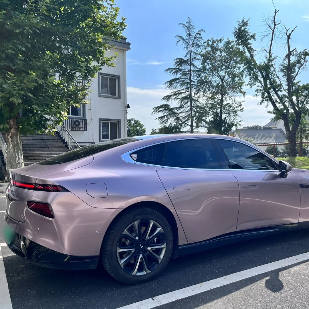 Ravoony Basic Glossy Frozen Berry Wrap