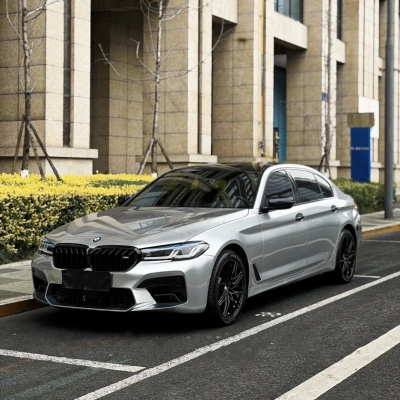 Ravoony Basic GT Silver Car Vinyl Wrap 02