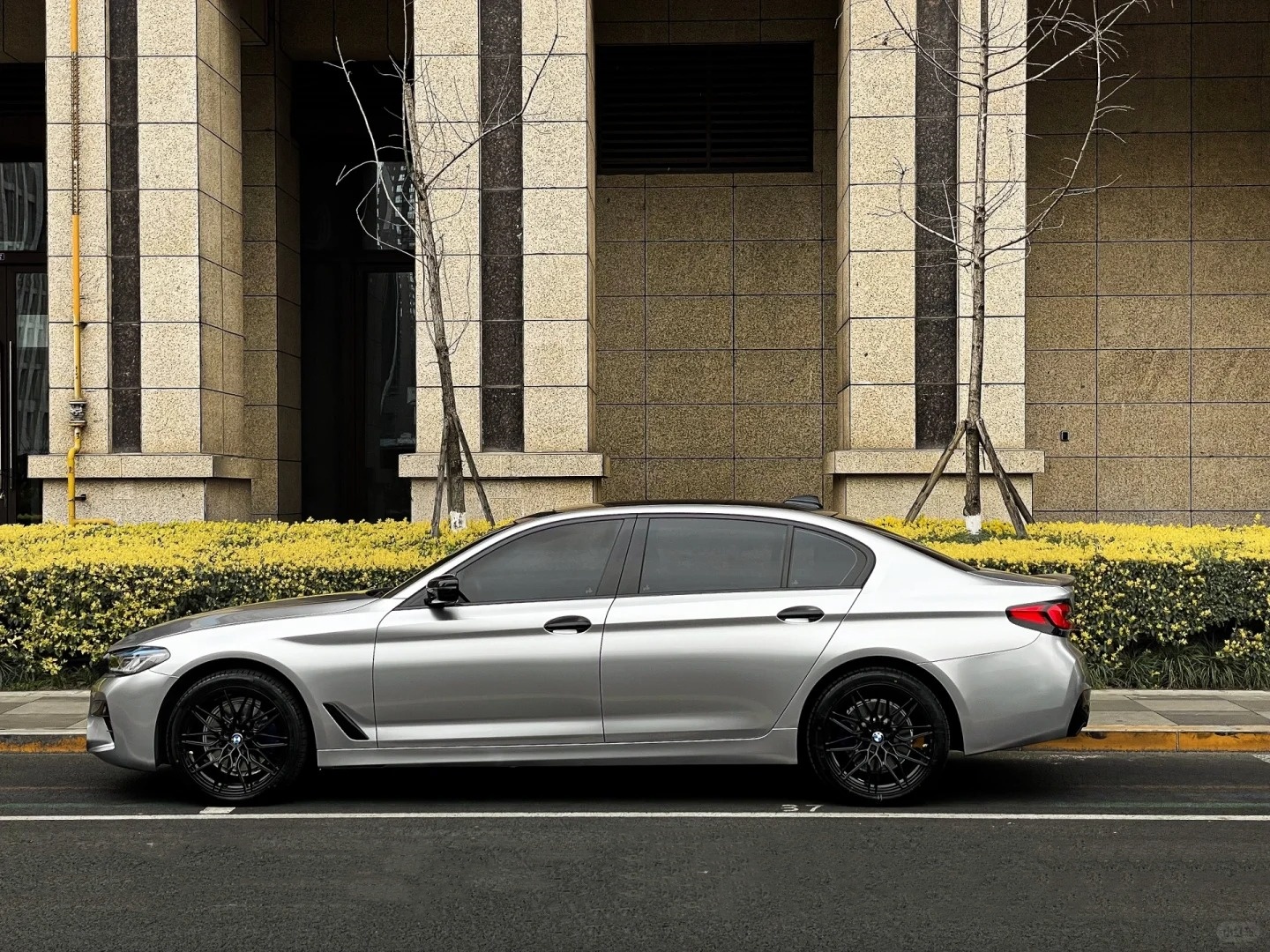 Ravoony Basic GT Silver Car Vinyl Wrap