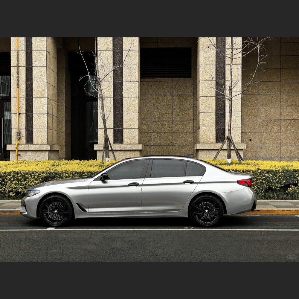Ravoony Basic GT Silver Car Vinyl Wrap