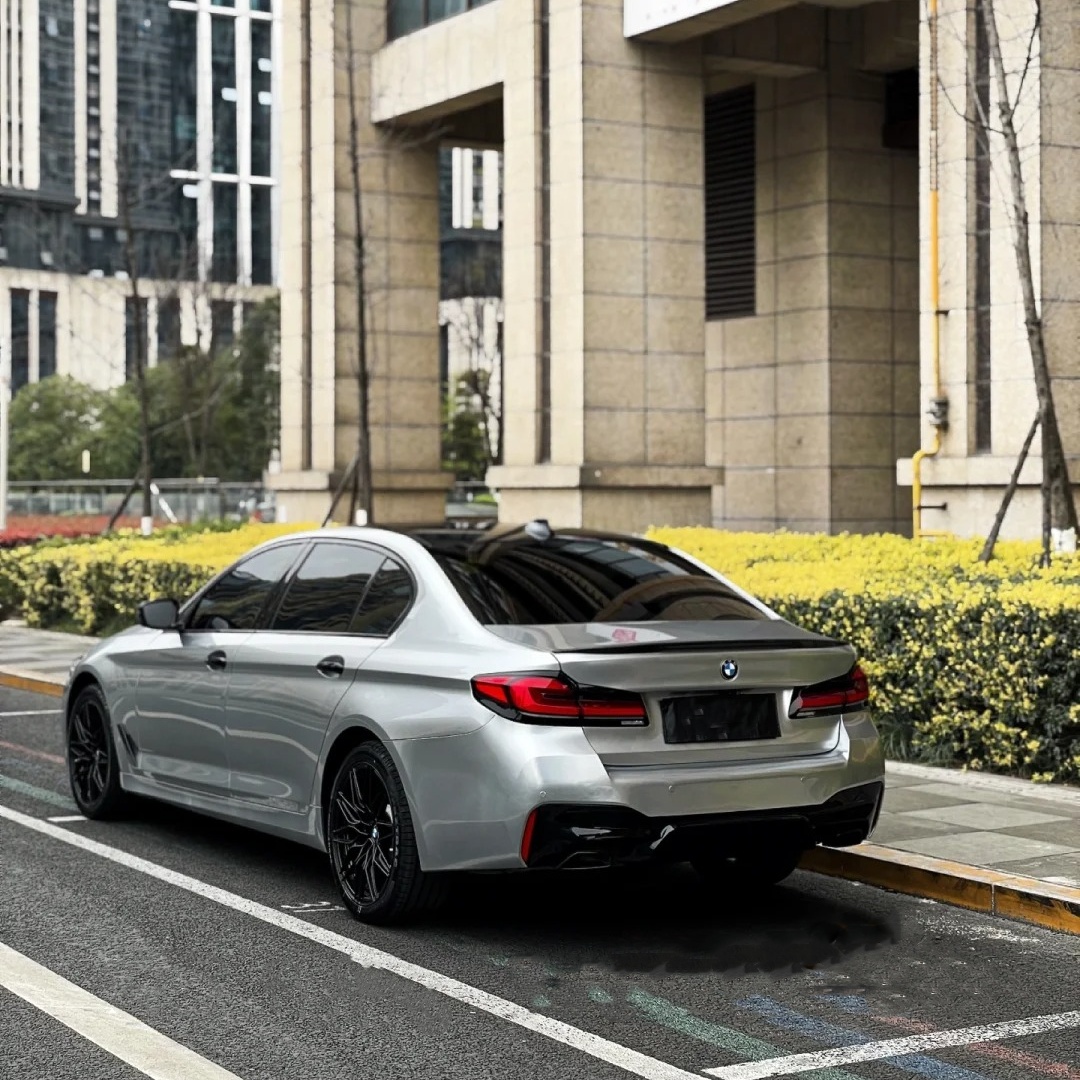 Ravoony Basic GT Silver Car Vinyl Wrap