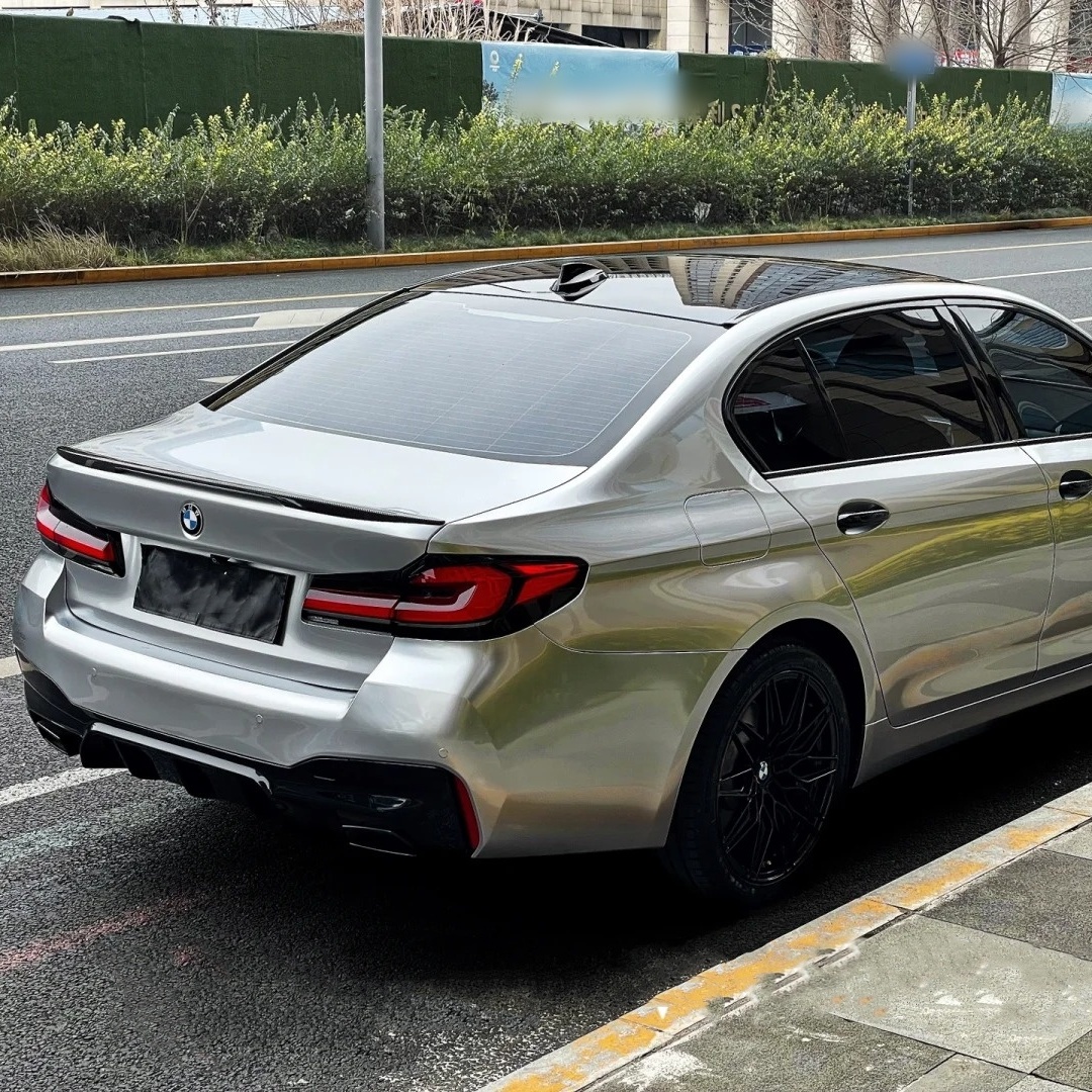 Ravoony Basic GT Silver Car Vinyl Wrap