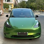 Ravoony Basic Glossy Metallic Mamba Green Car Vinyl Wrap