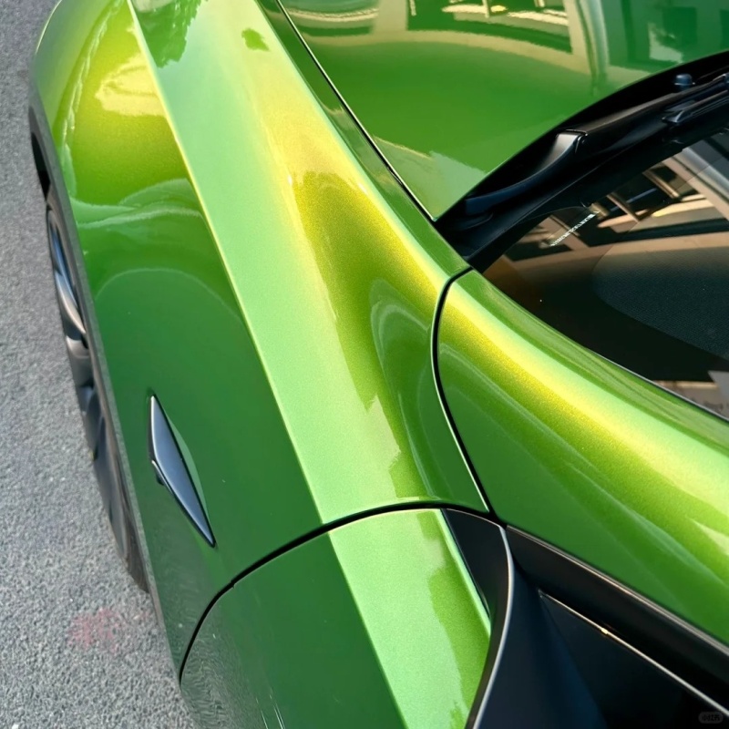Ravoony Basic Glossy Metallic Mamba Green Car Vinyl Wrap