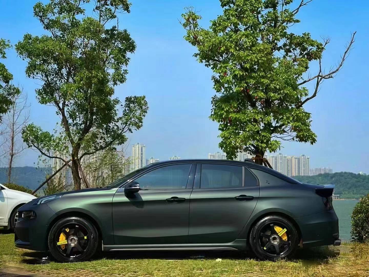 Ravoony Plus Matte Diamond Black Green Car Wrap