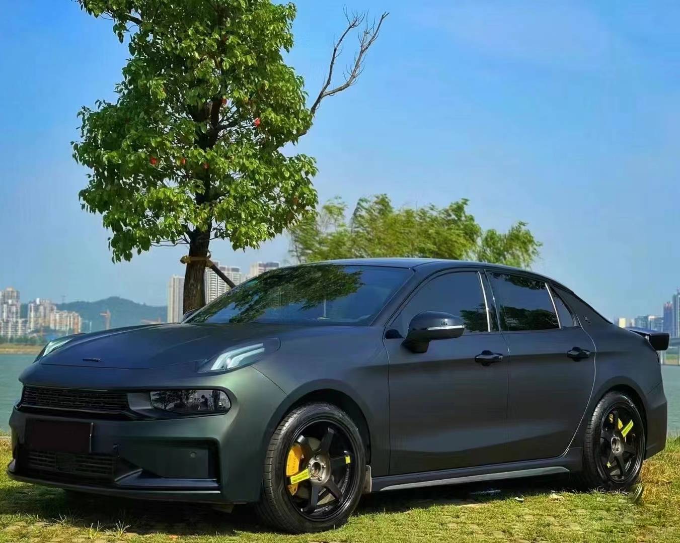 Ravoony Plus Matte Diamond Black Green Car Wrap