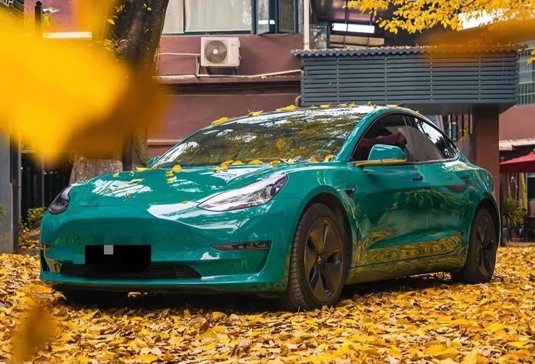 Ravoony Basic PET Glossy Hunter Green Vinyl Wrap