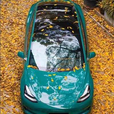 Ravoony Basic PET Glossy Hunter Green Vinyl Wrap 02