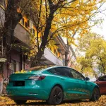 Ravoony Basic Glossy Hunter Green Vinyl Wrap