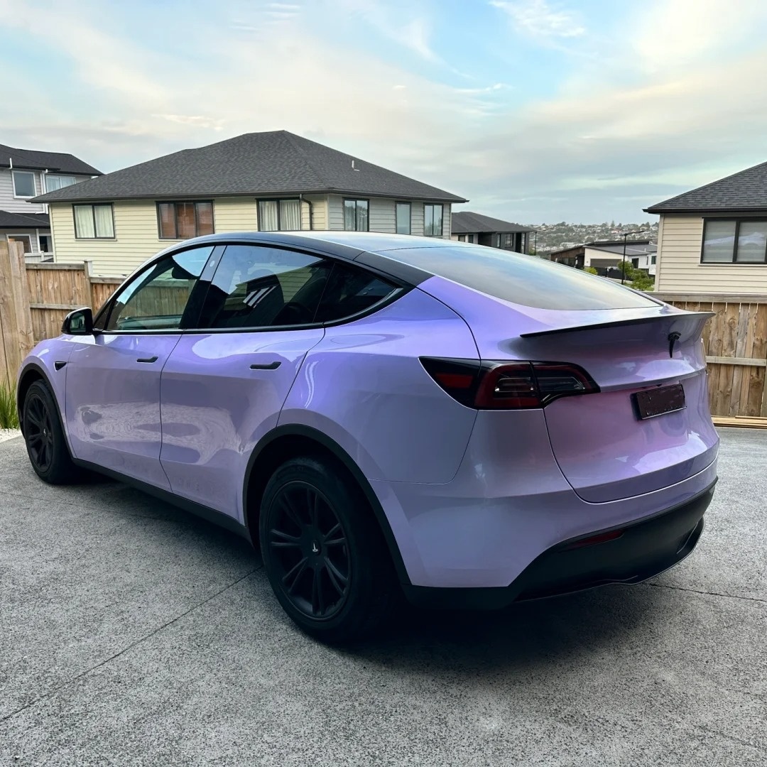 Ravoony Basic Twin Silver Purple Car Vinyl Wrap