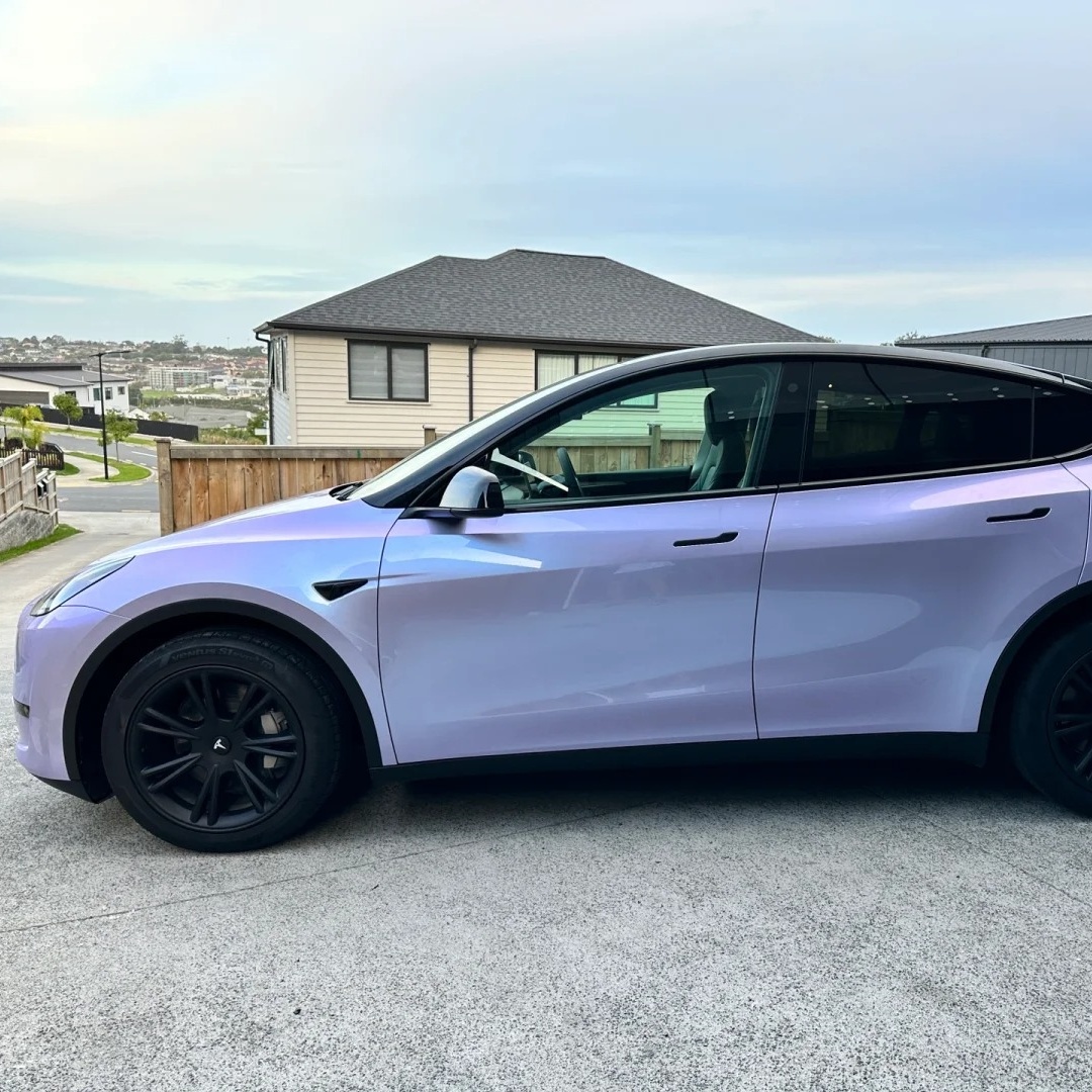 Ravoony Basic Twin Silver Purple Car Vinyl Wrap