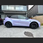 Ravoony Basic Twin Silver Purple Car Vinyl Wrap