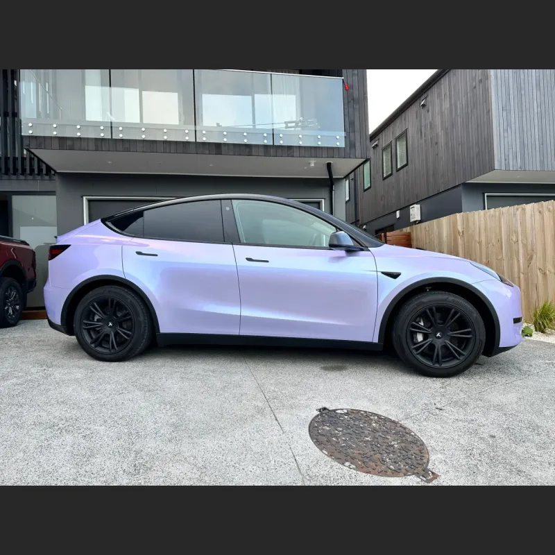 Ravoony Basic Twin Silver Purple Car Vinyl Wrap