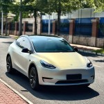 Ravoony Plus Ultra-Matte Gold Blue Car Vinyl Wrap