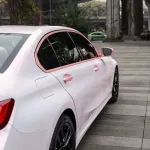 Ravoony Basic Glossy Flower Pink Car Wrap