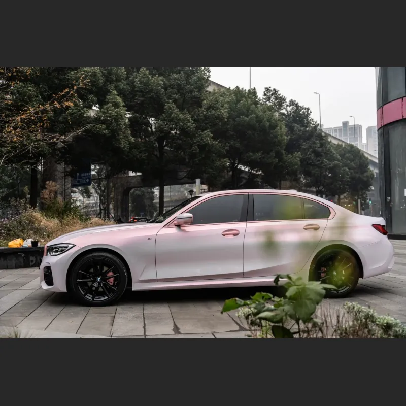 Ravoony Basic Glossy Flower Pink Car Wrap