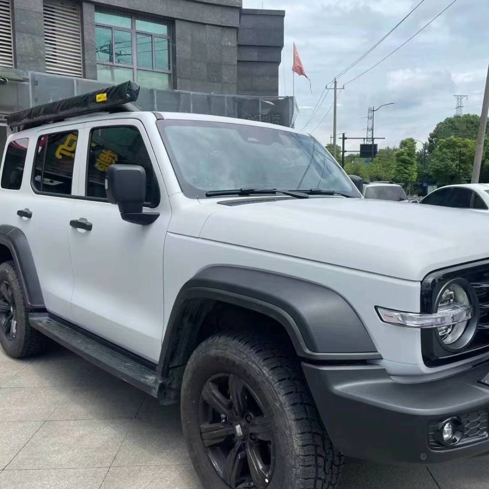 Ravoony Plus Ceramics Volcano Grey Car Wrap 
