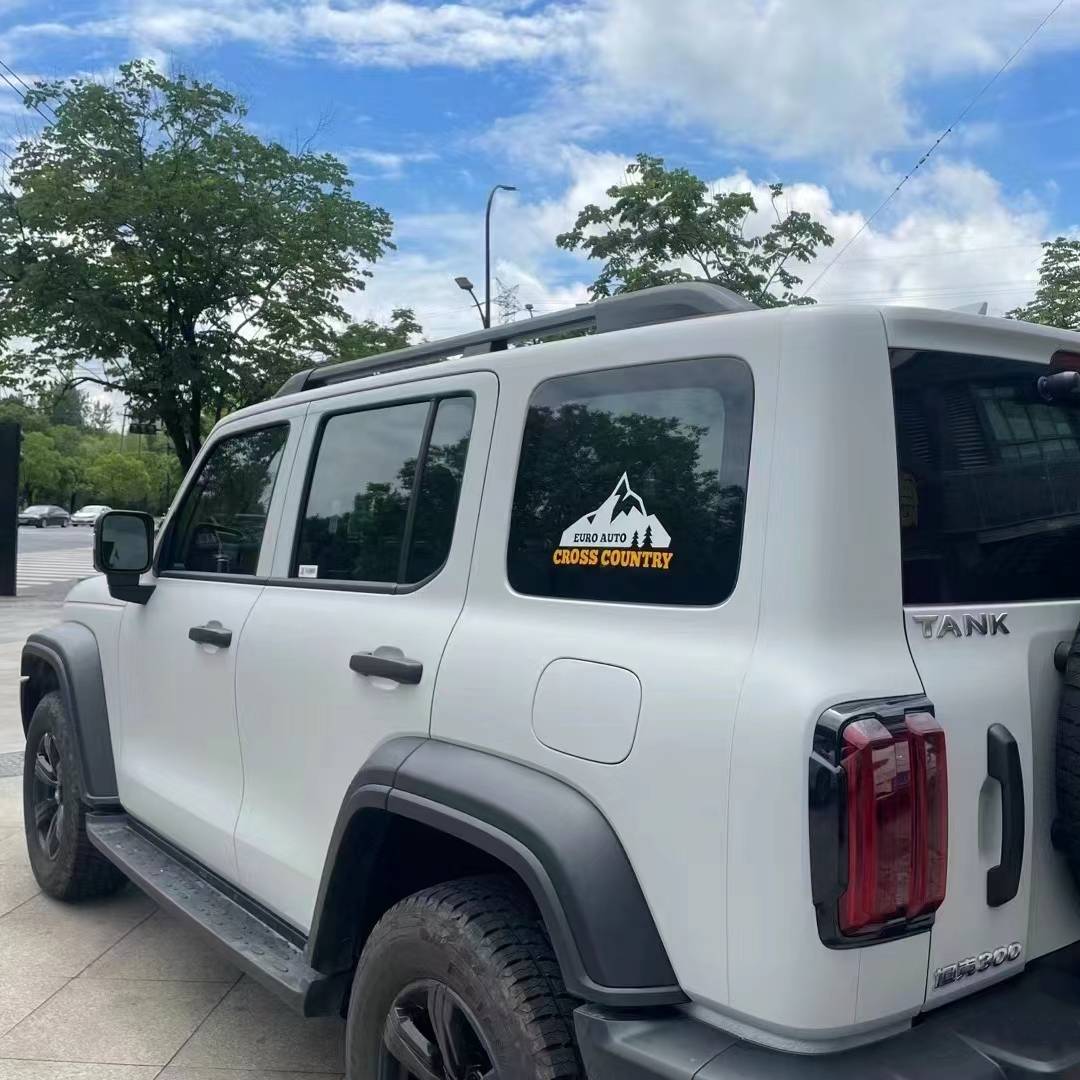 Ravoony Plus Ceramics Volcano Grey Car Wrap 