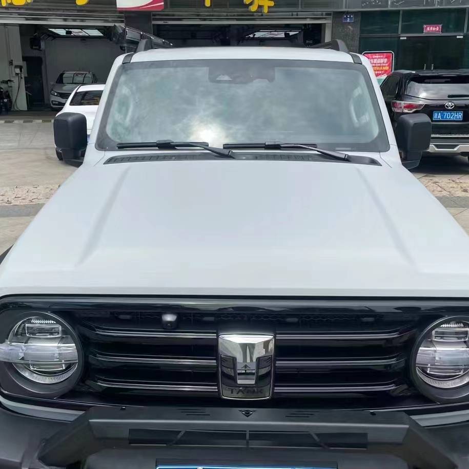 Ravoony Plus Ceramics Volcano Grey Car Wrap 