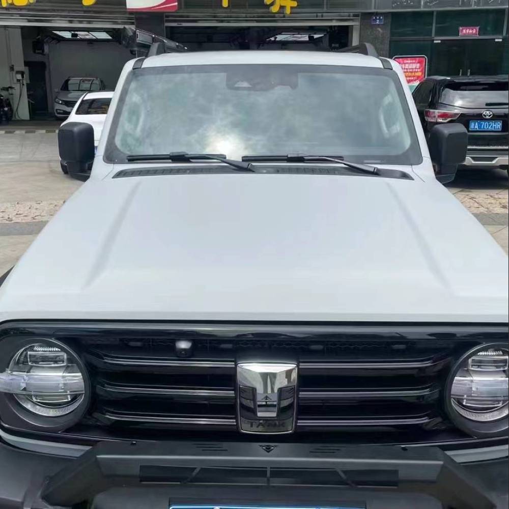 Ravoony Plus Ceramics Volcano Grey Car Wrap 