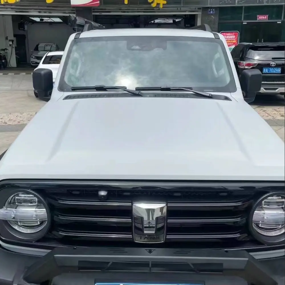 Ravoony Plus Ceramics Volcano Grey Car Wrap 