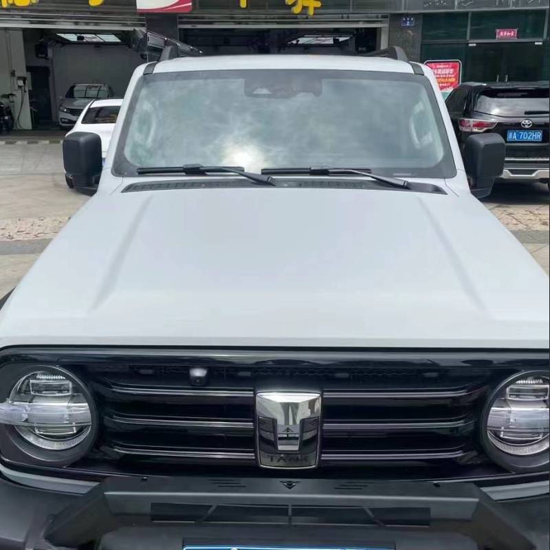 Ravoony Plus Ceramics Volcano Grey Car Wrap 