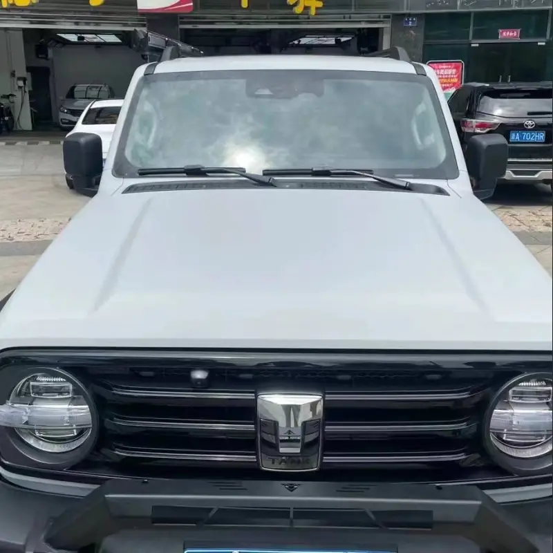 Ravoony Plus Ceramics Volcano Grey Car Wrap 