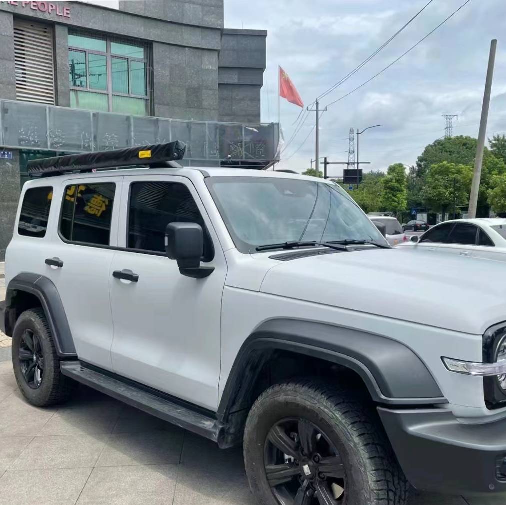 Ravoony Plus Ceramics Volcano Grey Car Wrap 