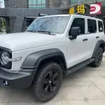 Ravoony Plus Ceramics Volcano Grey Car Wrap 
