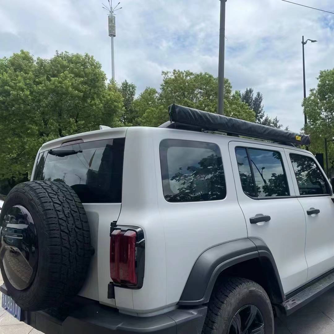 Ravoony Plus Ceramics Volcano Grey Car Wrap 