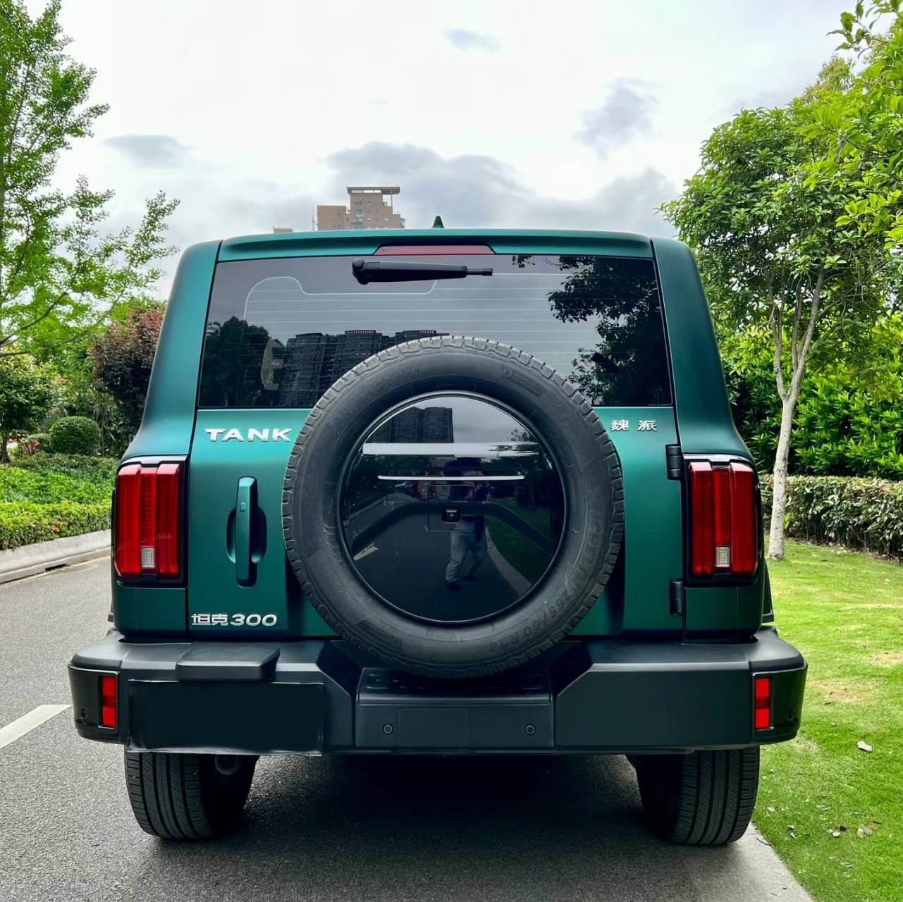 Ravoony Plus Ultimate Flat Magic Green Car Wrap