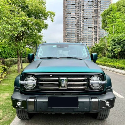 Ravoony Plus Ultimate Flat Magic Green Car Wrap 02