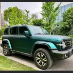 Ravoony Plus Ultimate Flat Magic Green Car Wrap