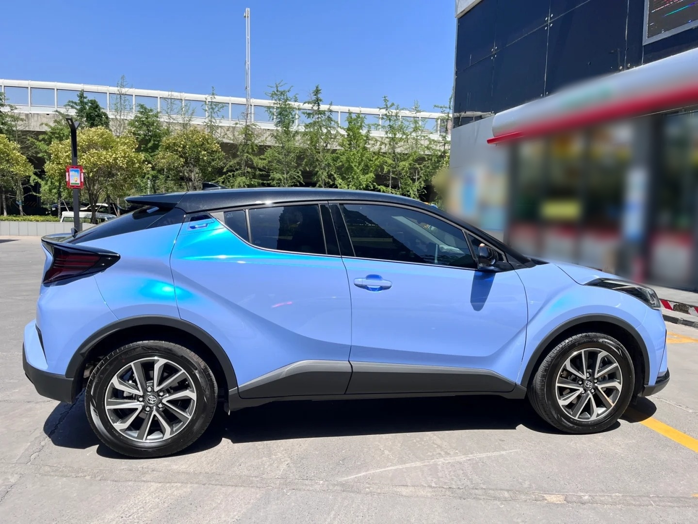 Ravoony Basic Twin Magic Blue Car Vinyl Wrap