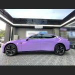 Ravoony Basic Twin Magic Purple Car Vinyl Wrap