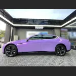 Ravoony Basic Twin Magic Purple Car Vinyl Wrap