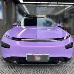 Ravoony Basic Twin Magic Purple Car Vinyl Wrap